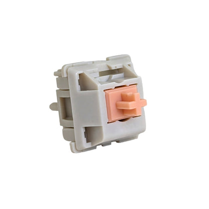 INVYR Holy Panda Tactile Switches for mechanical keyboards keyboard