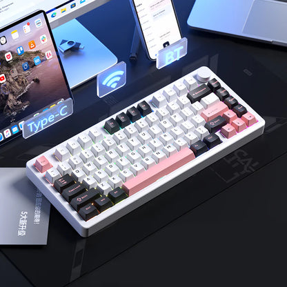 Leobog Hi8 SE Wireless 75% Mechanical Keyboard