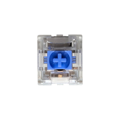 top-down macro view of TTC Brother V2 clicky switch with blue POM box stem and transparent PC housing.