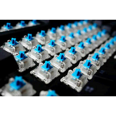 Cherry MX Blue Clicky RGB Switches – Thock King